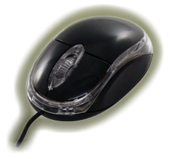 N-FACE QuickMouse optick my